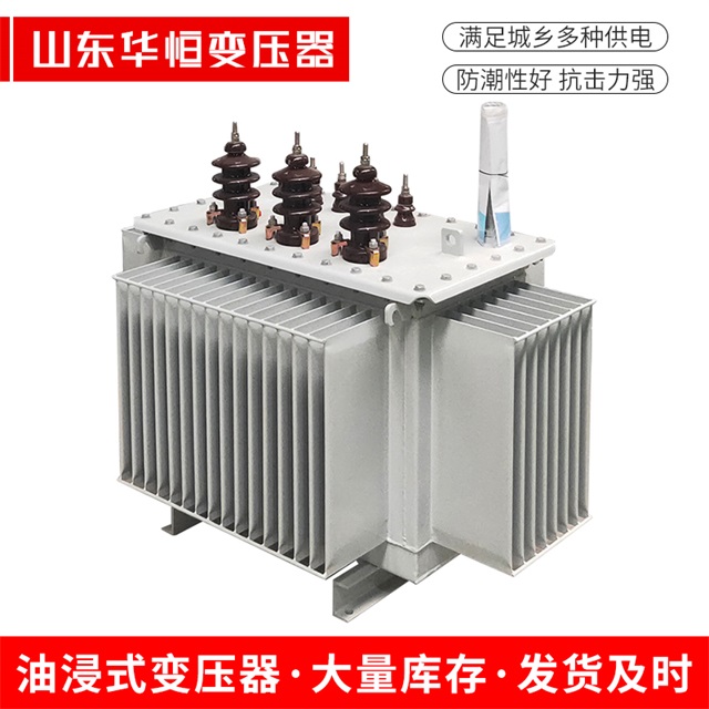 S13-10000/35青白江青白江青白江油浸式变压器厂家